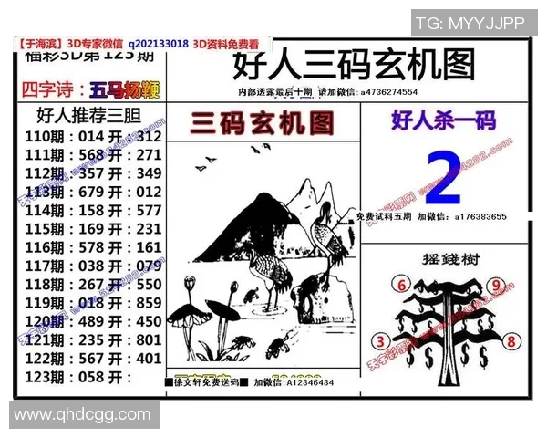 探索天牛图库3D红五图库的精彩世界与独特魅力 探索天牛图库3D红五图库的精彩世界与独特魅力